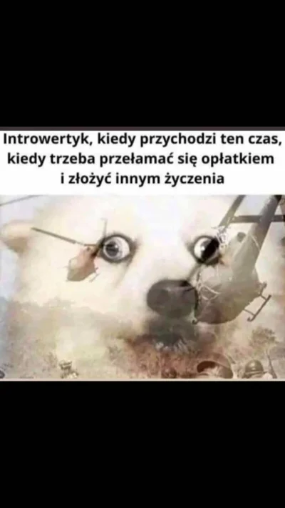 Z.....o - To JUŻ jutro

SPOILER