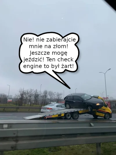 Nadajezpiwnicy - @beniu89: Wygląda jakby Alfa chciała uciec.( ͡° ͜ʖ ͡°)