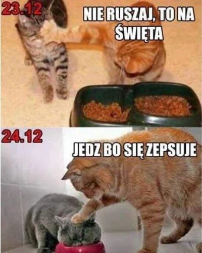 Ucieczka_donikad - Niezmiennie od lat :)
#swieta