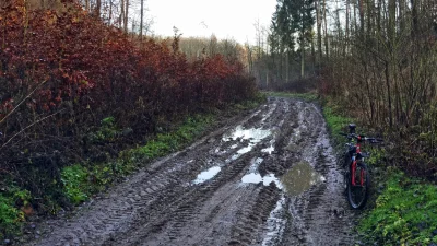 the_red - Przedświąteczne 41 km przejechane w pełnym słońcu i bezchmurnym niebie. Cel...