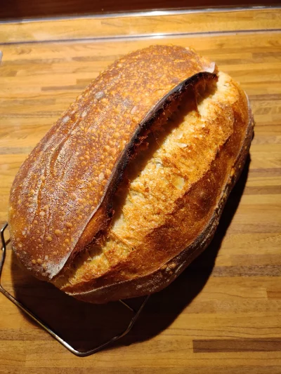 wondermano1 - taki chlebuś wigilijny ( ͡° ͜ʖ ͡°)
#chleb #gzw #gotujzwykopem #bojowkap...
