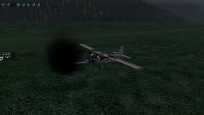 i.....g - Nie wiem skąd się to wzięło.
XPlane, PC-6 od Thrandy. Wylądowałem dość twar...