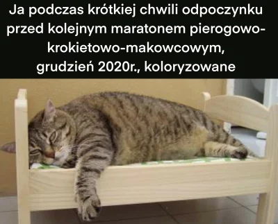 oszty - Wesołego odpoczynku Miraski ʕ•ᴥ•ʔ
#heheszki #smiesznekotki #koty #dziwnekotk...