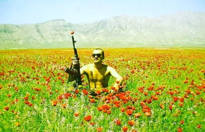 myrmekochoria - Radziecki żołnierz w polu maku podczas radzieckiej interwencji w Afga...