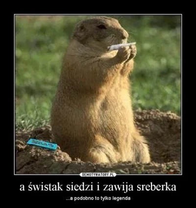 s.....1 - @WiktorekS: