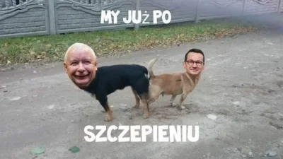 PazuryCezura - #heheszki