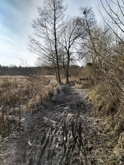 adamszuba - Gdyby nie było mrozu, to bym nie przyjechał na moich łysych oponach. Pole...