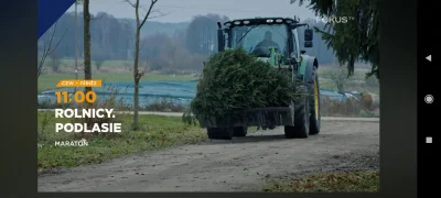 soadfan - #rolnikszukazony

A tymczasem w #rolnicypodlasie wożą takie choinki do domu...