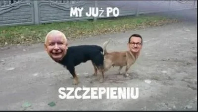 WinterLinn - @Wasz_Pan: przecież to było oczywiste, że jest pacynką już od 1 dnia jak...