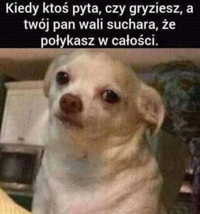 izzy4busy - #humorobrazkowy