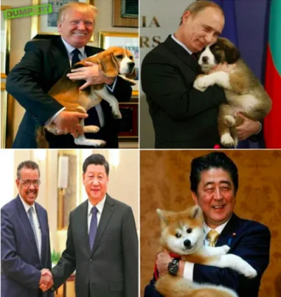 Jednorenki_Bandyta - Prezydenci najważniejszych państw świata i ich psy: