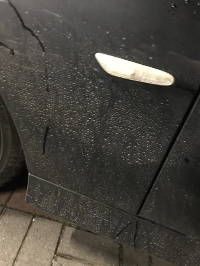 appul - Oddałem auto na mycie + wosk. Po pierwszych deszczach nie opłukałem auta i po...