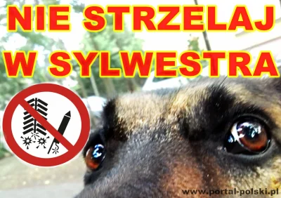 bydgoszczu - Polub udostępnij - NIE STRZELAJ
#psy #zwierzaczki #sylwesterzwykopem @U...