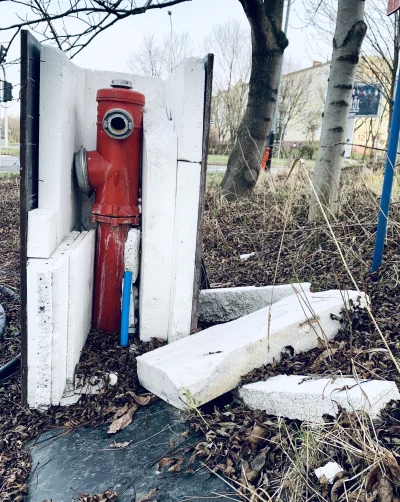 oh_cherry - Z cyklu #poznanskiepejzaze 
To chyba hydrant?
#rataje