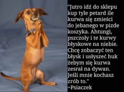 Widur - W sylwestra pomyślmy też o naszych zwierzakach
#nowyrok #sylwesterzwykopem #...