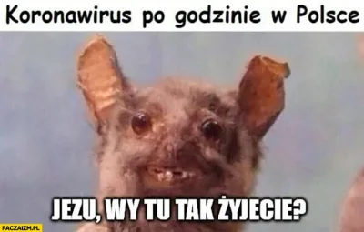 bori - @uuuuuuuuuuuuuuuuuuuuuuuuuuuuuuuuuuu z początku roku