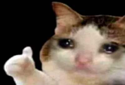 ZenonZawodowiec - pienkny utwór
#topwszechczasow