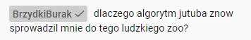 kubanfs - ¯\\(ツ)\/¯
#kononowicz #patostreamy