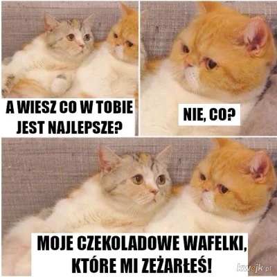 P.....s - #memy #heheszki