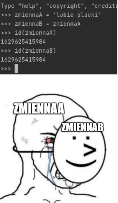 G.....r - Nauczyłem się nowej rzeczy, więc zrobiłem memika
#heheszki #programowanie ...