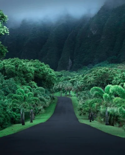 Pani_Asia - Wyspa Oahu, Hawaje

#hawaje #wyspa #podroze #estetyczneobrazki #earthpo...