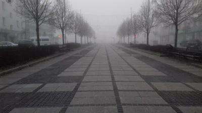 xandra - Myślisz, że to Silent Hill, a to Aleja Najświętszej Panienki w Częstochowie ...