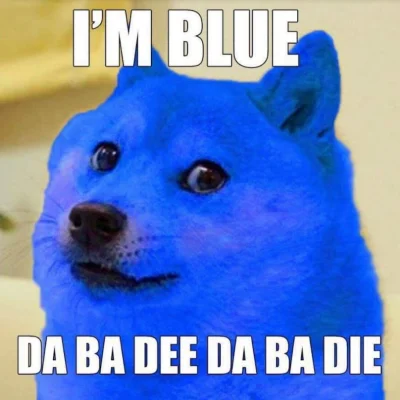 KarmazynowyHefalump - I'm blue, da ba dee da ba die
#zoltypies #doge #smiesznypiesek