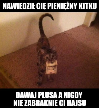 Koner1391 - #koty #kitku #humorobrazkowy