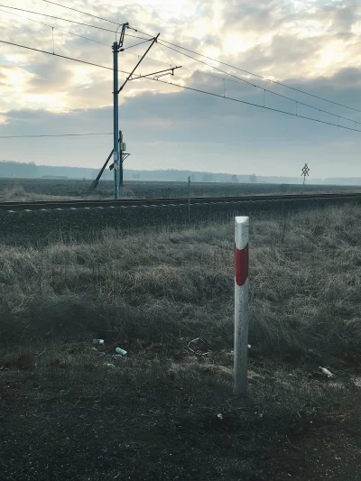 cytmirka - Najbardziej na świecie nie szanuję ludzi, którzy wywalają śmieci do przydr...