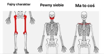 p.....2 - @grzsci: oraz memik co oznacza charakter i pewnosc siebie ( ͡° ͜ʖ ͡°)