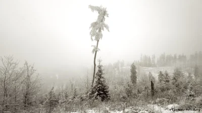 wspomnienieciszy - #gory #sudety #zima #earthporn #wspomnienieciszyphotography #nokia...