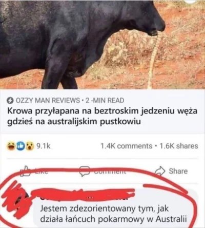 Babazkebaba - A w Australii po staremu #humorobrazkowy #gownowpis