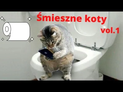 lukaszmilicz - Kompilacja śmiesznych kotów: