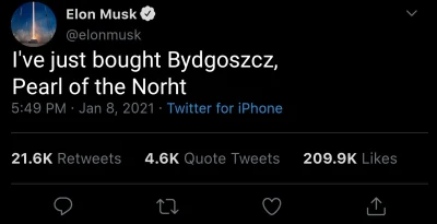 Zielonykubek - #heheszki #elonmusk #perlapulnocy