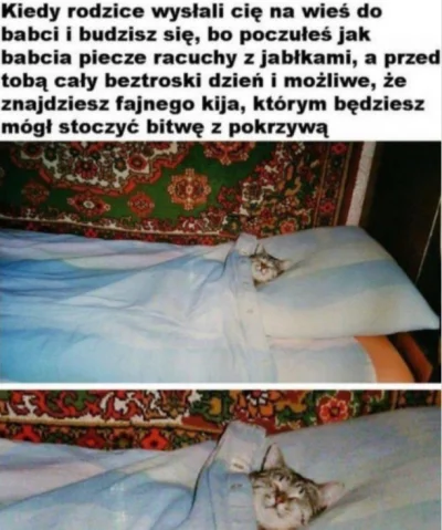 zpord - #koty #kitku #humorobrazkowy #feels