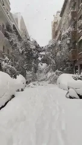 cheeseandonion - Obfite opady śniegu w #madryt