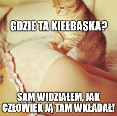 taju - #heheszki #humorobrazkowy