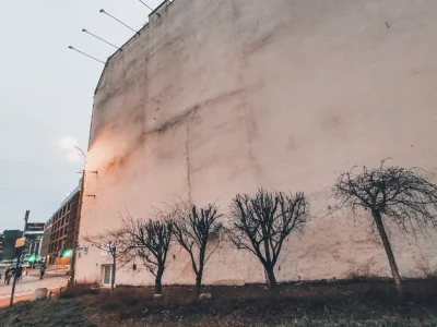 CzasNaPoznan - W piątek tajemniczy ludzie przycięli drzewa na ulicy Estkowskiego. Zro...