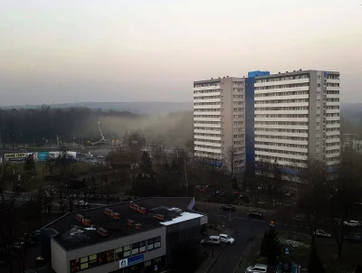 Marekexp - Normalnie wygląda jakby smog wychodził z parku, wtf :o.

#katowice #slas...