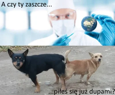 veutec - #humorobrazkowy #heheszki