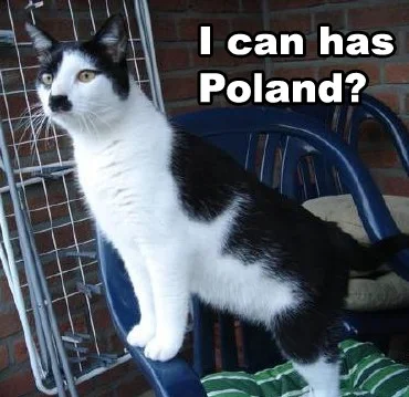 lurkujacy - #heheszki #humorobrazkowy #smiesznykotek #lolcat #hitler