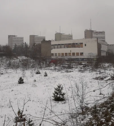 Daymare - 35 lat po katastrofie w Czarnobylu drzewa i krzewy opanowały prawie całą pr...