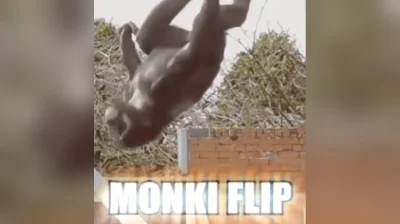 Karol_Kitku2 - @Wedam małpa flip