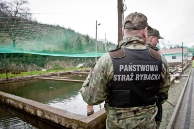 niochland - Właśnie się dowiedziałem, że w #Polska działa coś takiego jak Państwowa S...