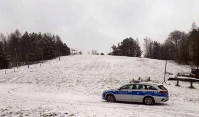 Billybob - Polskie góry.
Policja pilnuje, żeby jacyś przestępcy na nartach czy sanka...
