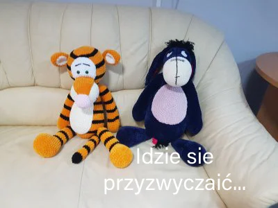 rozdartapyta - @Aou: Tygrysek i Kłapouchy po tygodniu w Polsce