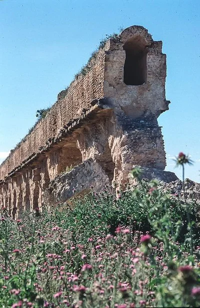 IMPERIUMROMANUM - Rzymski akwedukt w Zaghwanie

Rzymski akwedukt w Zaghwanie (Tunez...