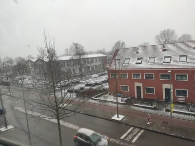 Greensy - Dzisiaj w Amsterdamie pierwsze i prawdopodobnie ostatnie opady śniegu, jest...