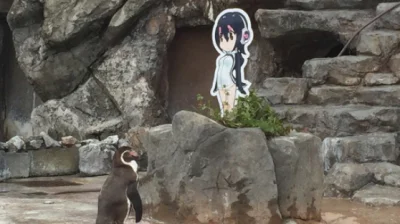 f.....e - ja we wcześniejszym wcieleniu z moją waifu
#przegryw #grapekun