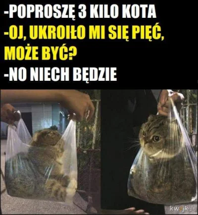 RITIs44 - #heheszki #humorobrazkowy #zwierzaczki #zwierzeta